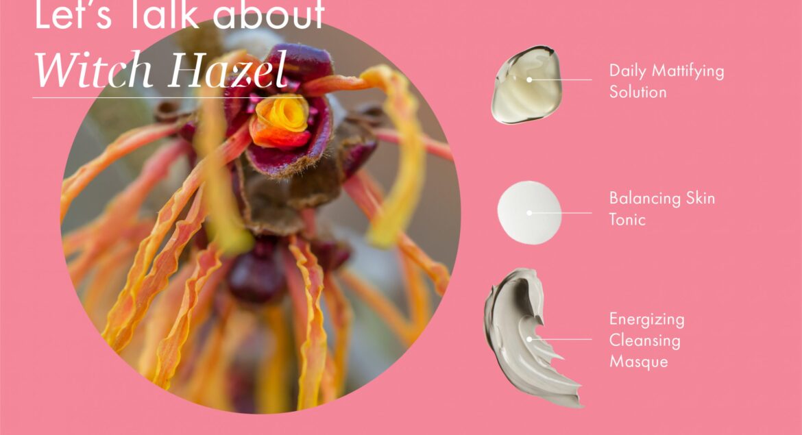 RR-Blog-WitchHazel-04-scaled.jpg