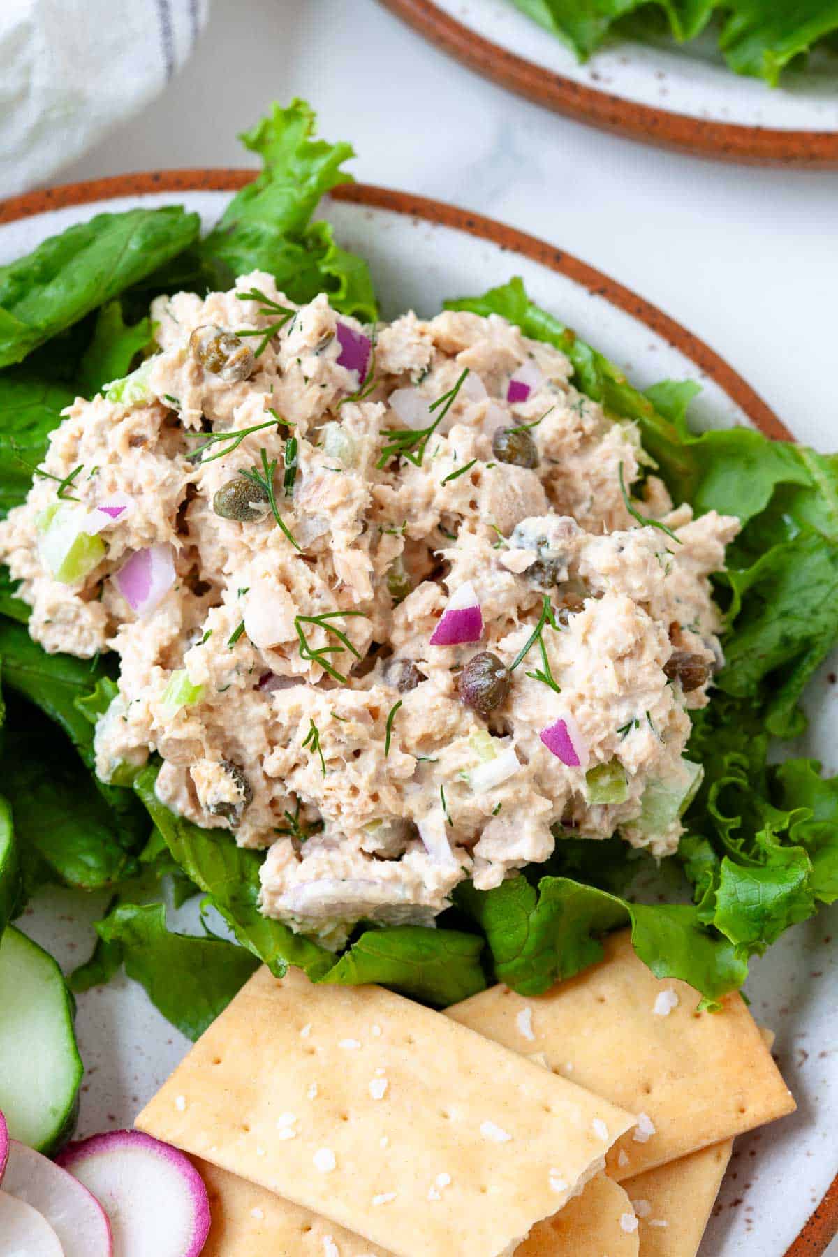 canned salmon salad with red onion, capers, and fresh dill served on a bed of lettuce on a speckled plate with crackers